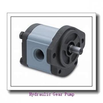 Case55 Hydraulic Pump Gear Pump