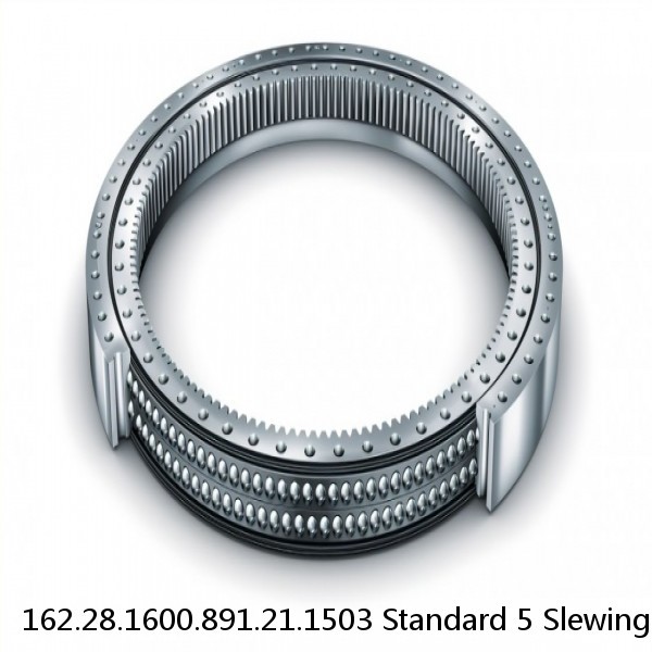 162.28.1600.891.21.1503 Standard 5 Slewing Ring Bearings