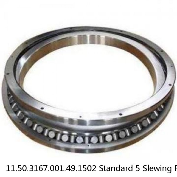 11.50.3167.001.49.1502 Standard 5 Slewing Ring Bearings