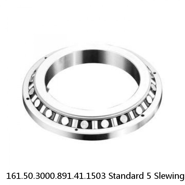 161.50.3000.891.41.1503 Standard 5 Slewing Ring Bearings