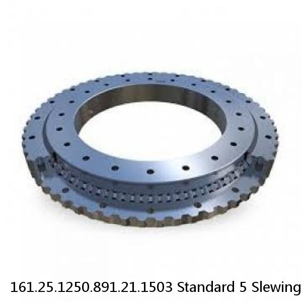 161.25.1250.891.21.1503 Standard 5 Slewing Ring Bearings