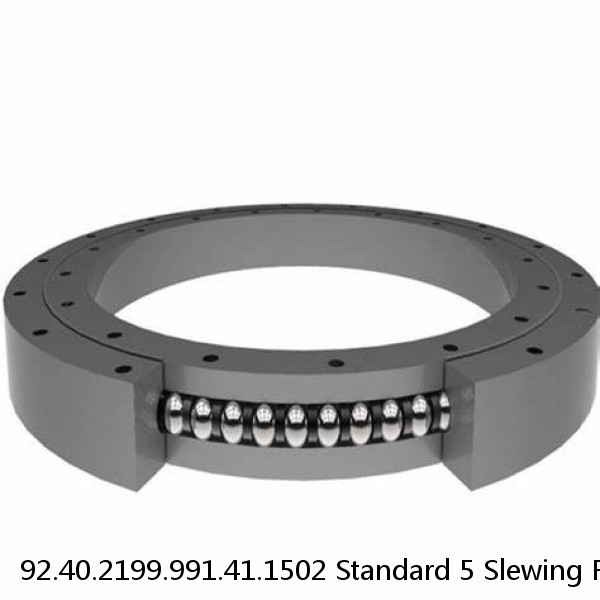 92.40.2199.991.41.1502 Standard 5 Slewing Ring Bearings