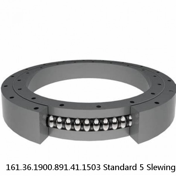 161.36.1900.891.41.1503 Standard 5 Slewing Ring Bearings