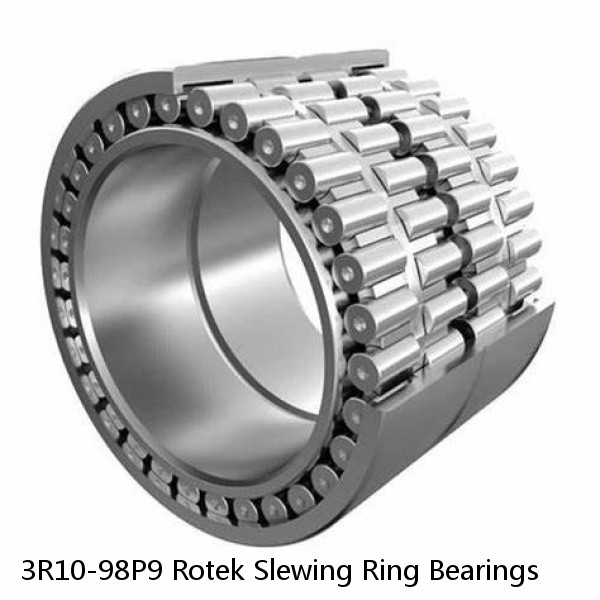 3R10-98P9 Rotek Slewing Ring Bearings