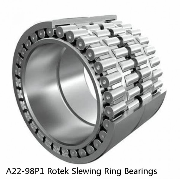 A22-98P1 Rotek Slewing Ring Bearings