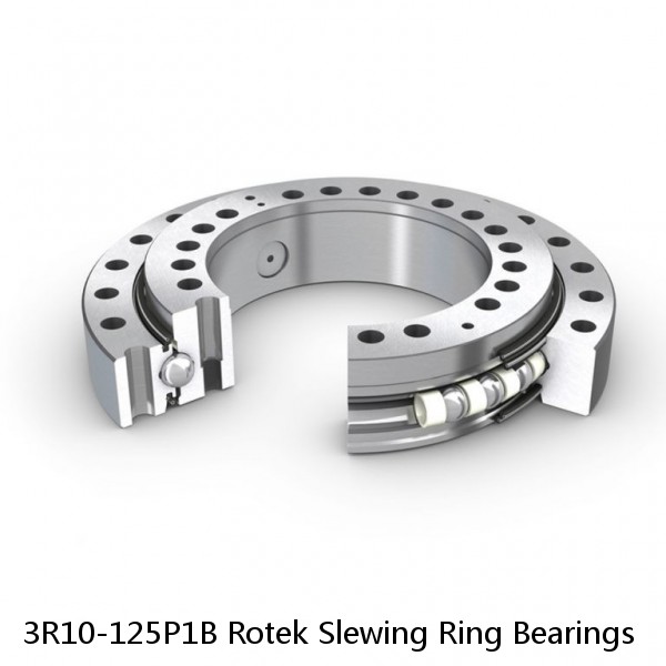 3R10-125P1B Rotek Slewing Ring Bearings