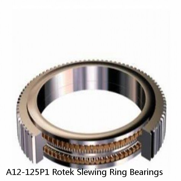 A12-125P1 Rotek Slewing Ring Bearings