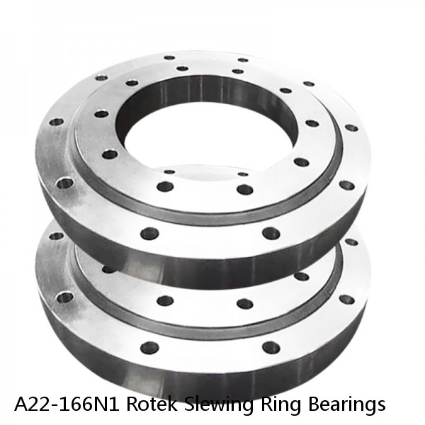 A22-166N1 Rotek Slewing Ring Bearings