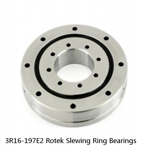 3R16-197E2 Rotek Slewing Ring Bearings