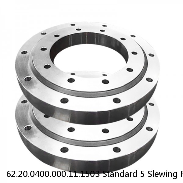 62.20.0400.000.11.1503 Standard 5 Slewing Ring Bearings