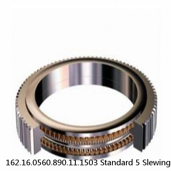 162.16.0560.890.11.1503 Standard 5 Slewing Ring Bearings