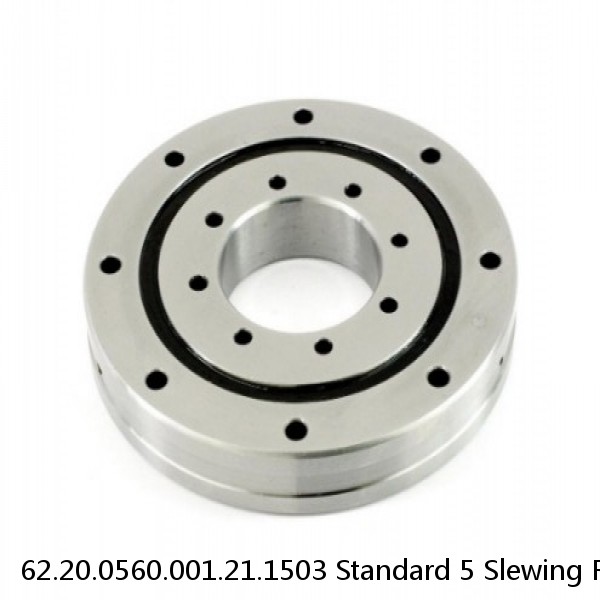 62.20.0560.001.21.1503 Standard 5 Slewing Ring Bearings