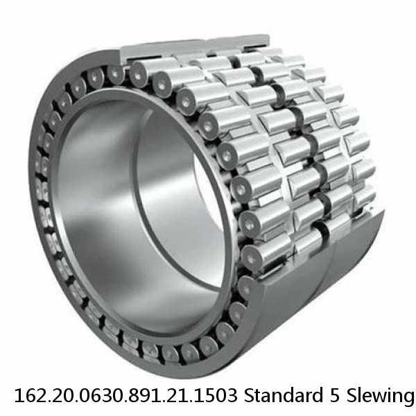 162.20.0630.891.21.1503 Standard 5 Slewing Ring Bearings