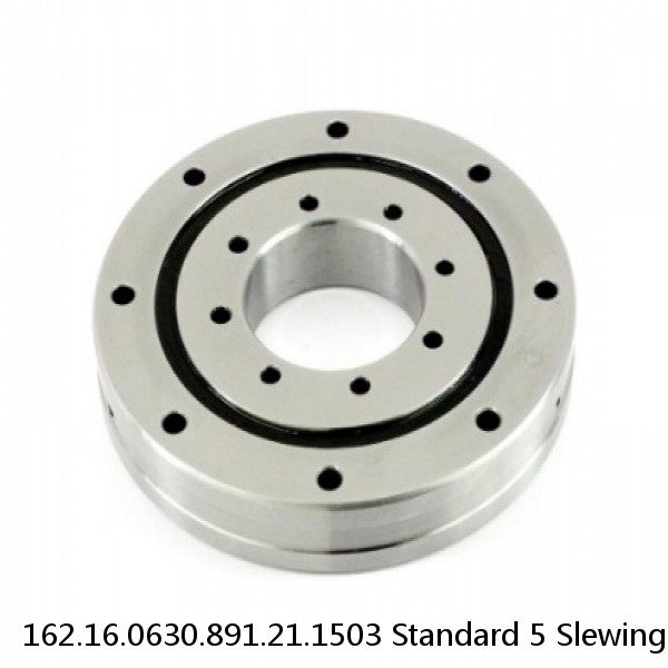 162.16.0630.891.21.1503 Standard 5 Slewing Ring Bearings