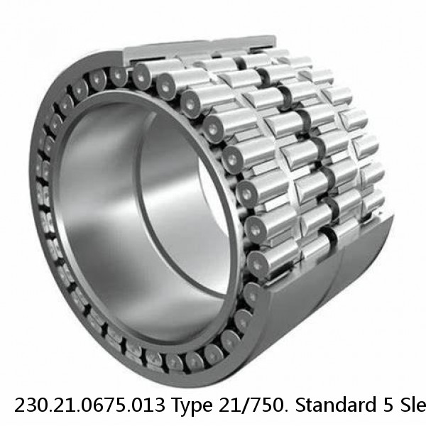 230.21.0675.013 Type 21/750. Standard 5 Slewing Ring Bearings