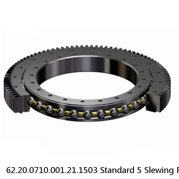 62.20.0710.001.21.1503 Standard 5 Slewing Ring Bearings