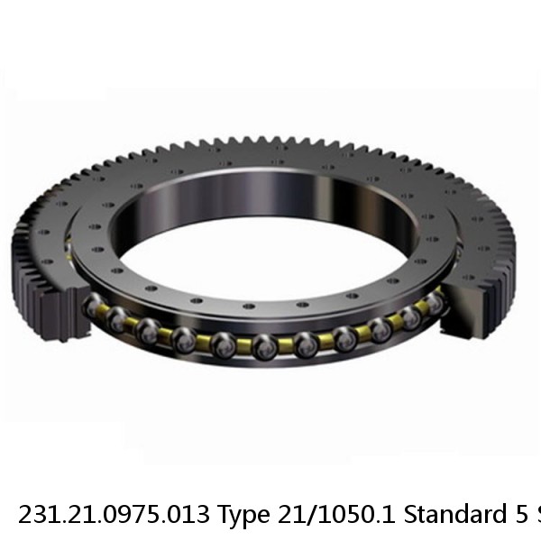 231.21.0975.013 Type 21/1050.1 Standard 5 Slewing Ring Bearings