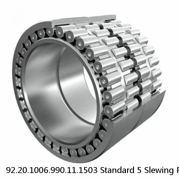 92.20.1006.990.11.1503 Standard 5 Slewing Ring Bearings