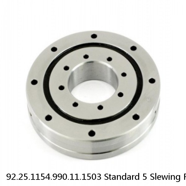 92.25.1154.990.11.1503 Standard 5 Slewing Ring Bearings