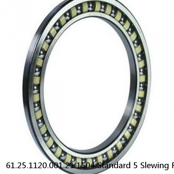 61.25.1120.001.21.1504 Standard 5 Slewing Ring Bearings