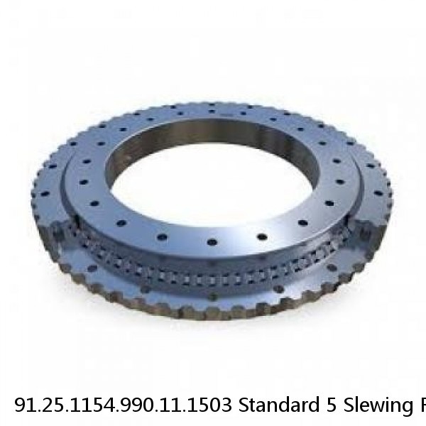 91.25.1154.990.11.1503 Standard 5 Slewing Ring Bearings