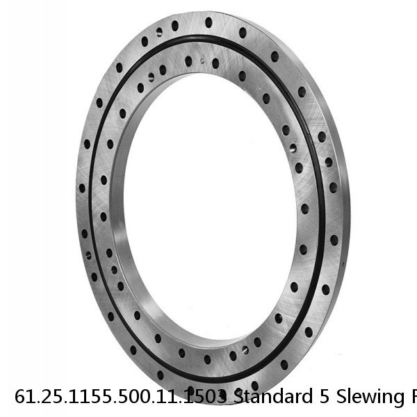 61.25.1155.500.11.1503 Standard 5 Slewing Ring Bearings