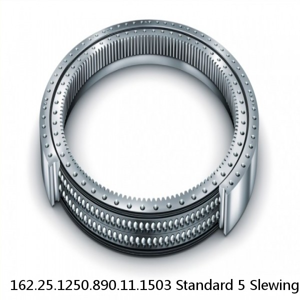 162.25.1250.890.11.1503 Standard 5 Slewing Ring Bearings