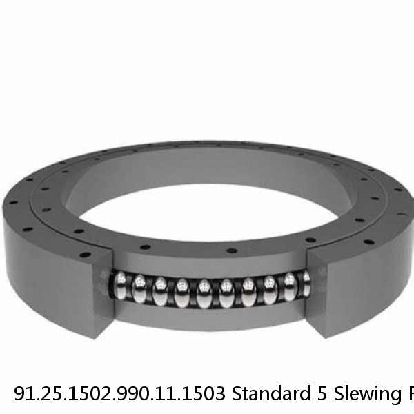 91.25.1502.990.11.1503 Standard 5 Slewing Ring Bearings