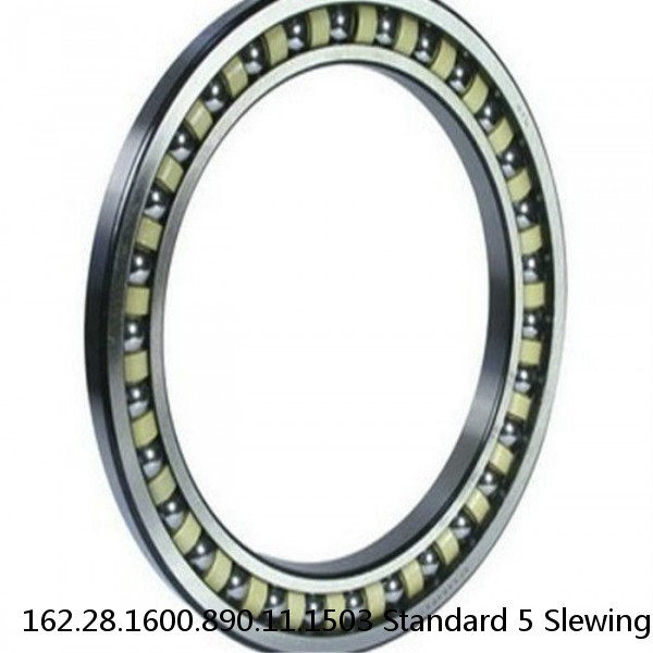 162.28.1600.890.11.1503 Standard 5 Slewing Ring Bearings