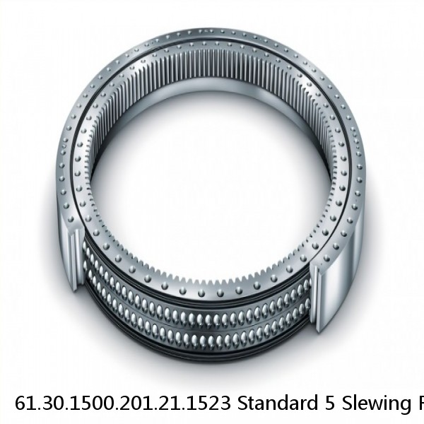 61.30.1500.201.21.1523 Standard 5 Slewing Ring Bearings