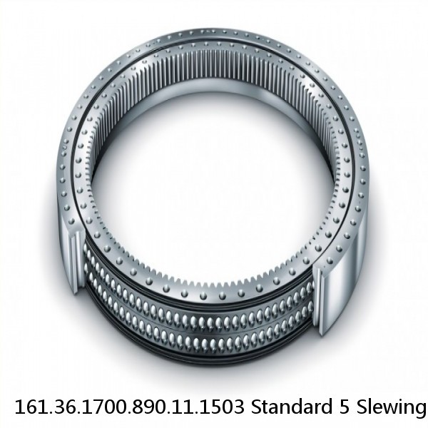 161.36.1700.890.11.1503 Standard 5 Slewing Ring Bearings