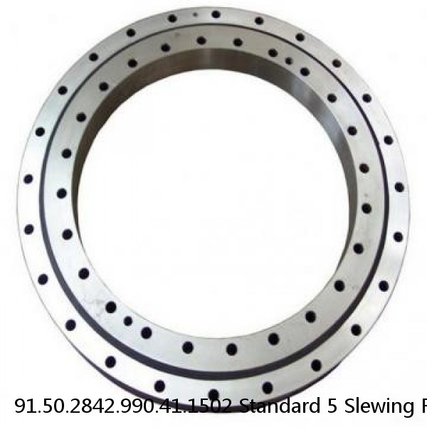 91.50.2842.990.41.1502 Standard 5 Slewing Ring Bearings