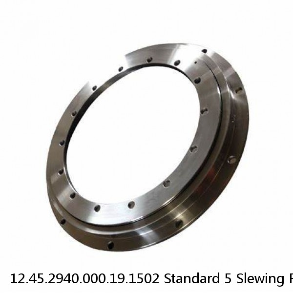 12.45.2940.000.19.1502 Standard 5 Slewing Ring Bearings