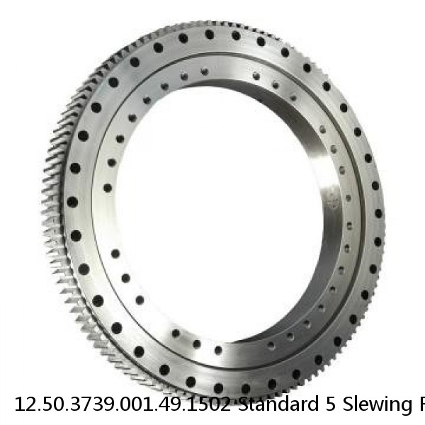 12.50.3739.001.49.1502 Standard 5 Slewing Ring Bearings