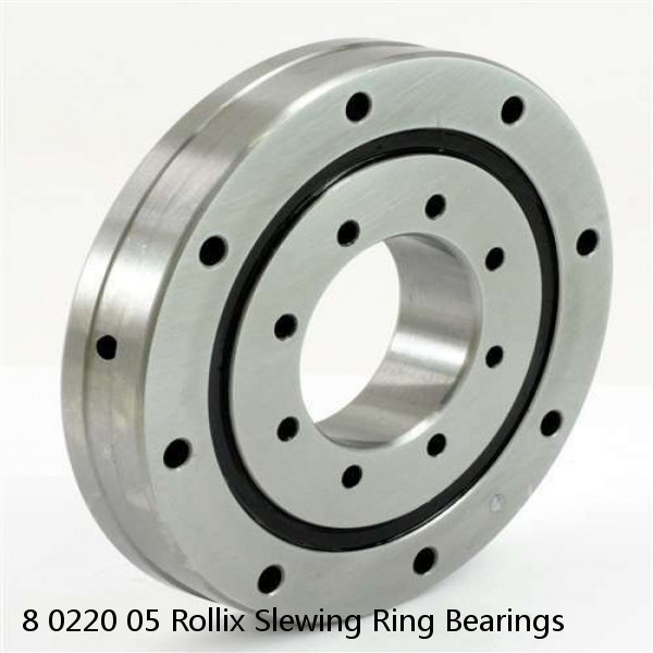 8 0220 05 Rollix Slewing Ring Bearings