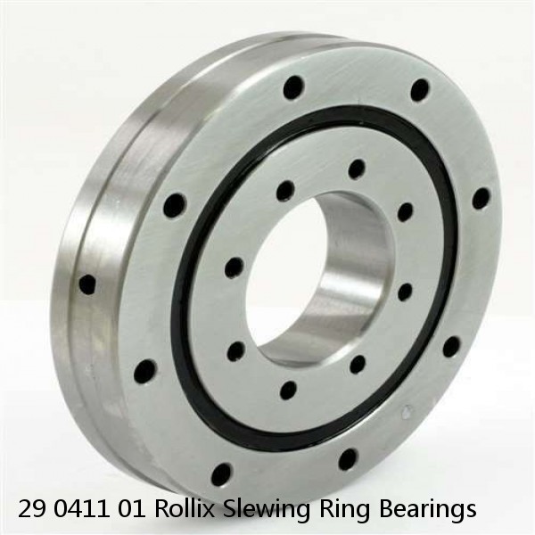 29 0411 01 Rollix Slewing Ring Bearings