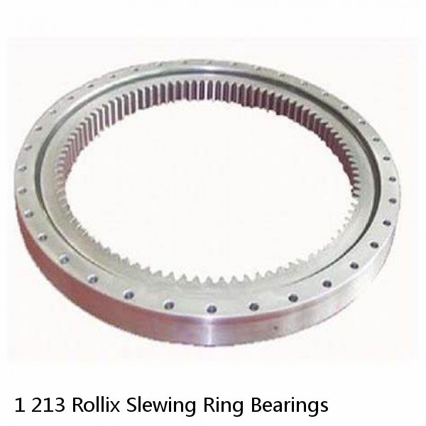 1 213 Rollix Slewing Ring Bearings