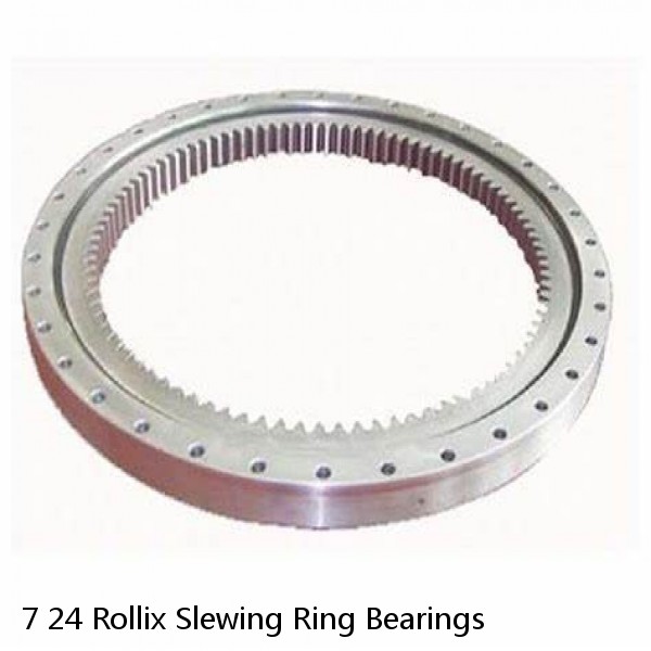 7 24 Rollix Slewing Ring Bearings