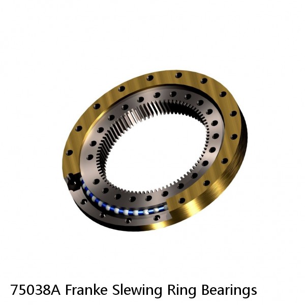 75038A Franke Slewing Ring Bearings