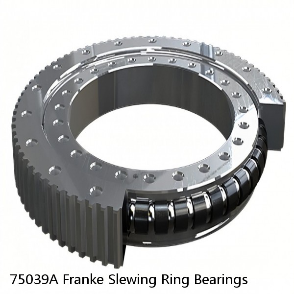 75039A Franke Slewing Ring Bearings