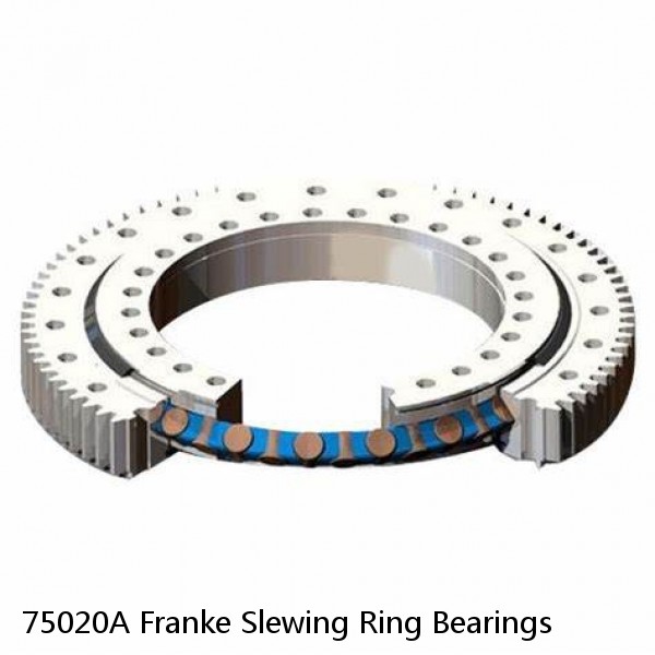 75020A Franke Slewing Ring Bearings