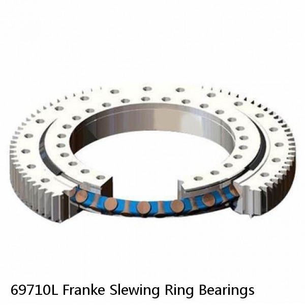 69710L Franke Slewing Ring Bearings