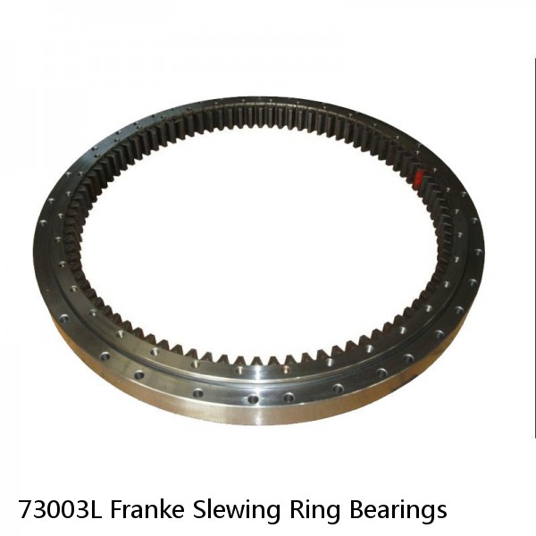 73003L Franke Slewing Ring Bearings