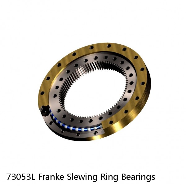 73053L Franke Slewing Ring Bearings