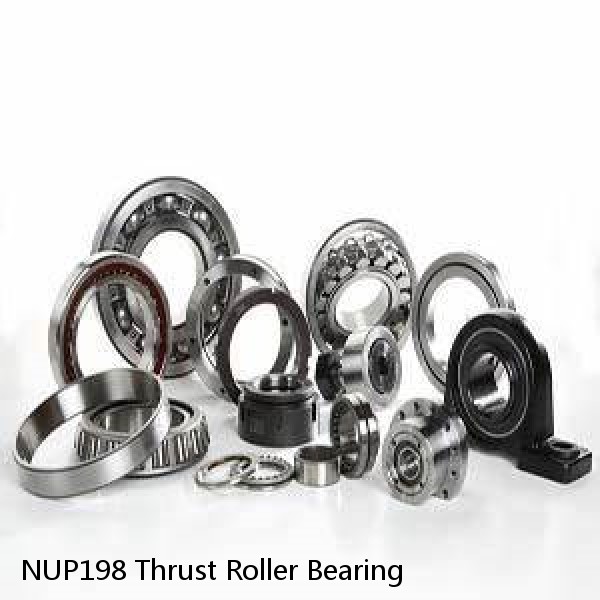 NUP198 Thrust Roller Bearing