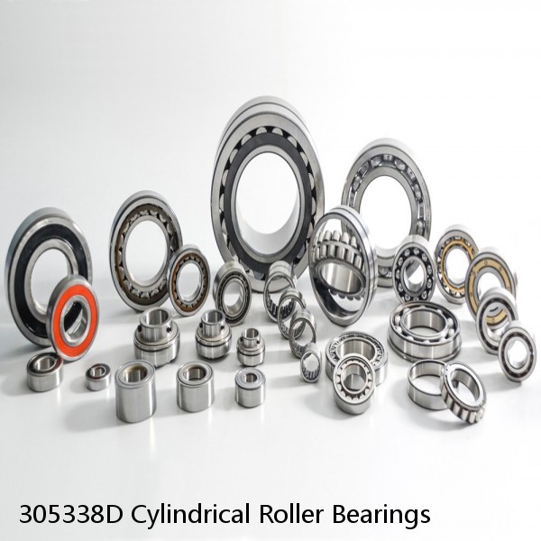 305338D Cylindrical Roller Bearings