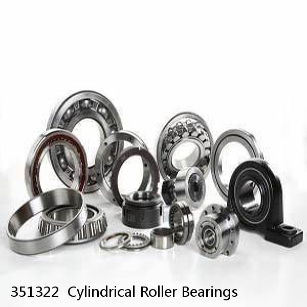 351322  Cylindrical Roller Bearings